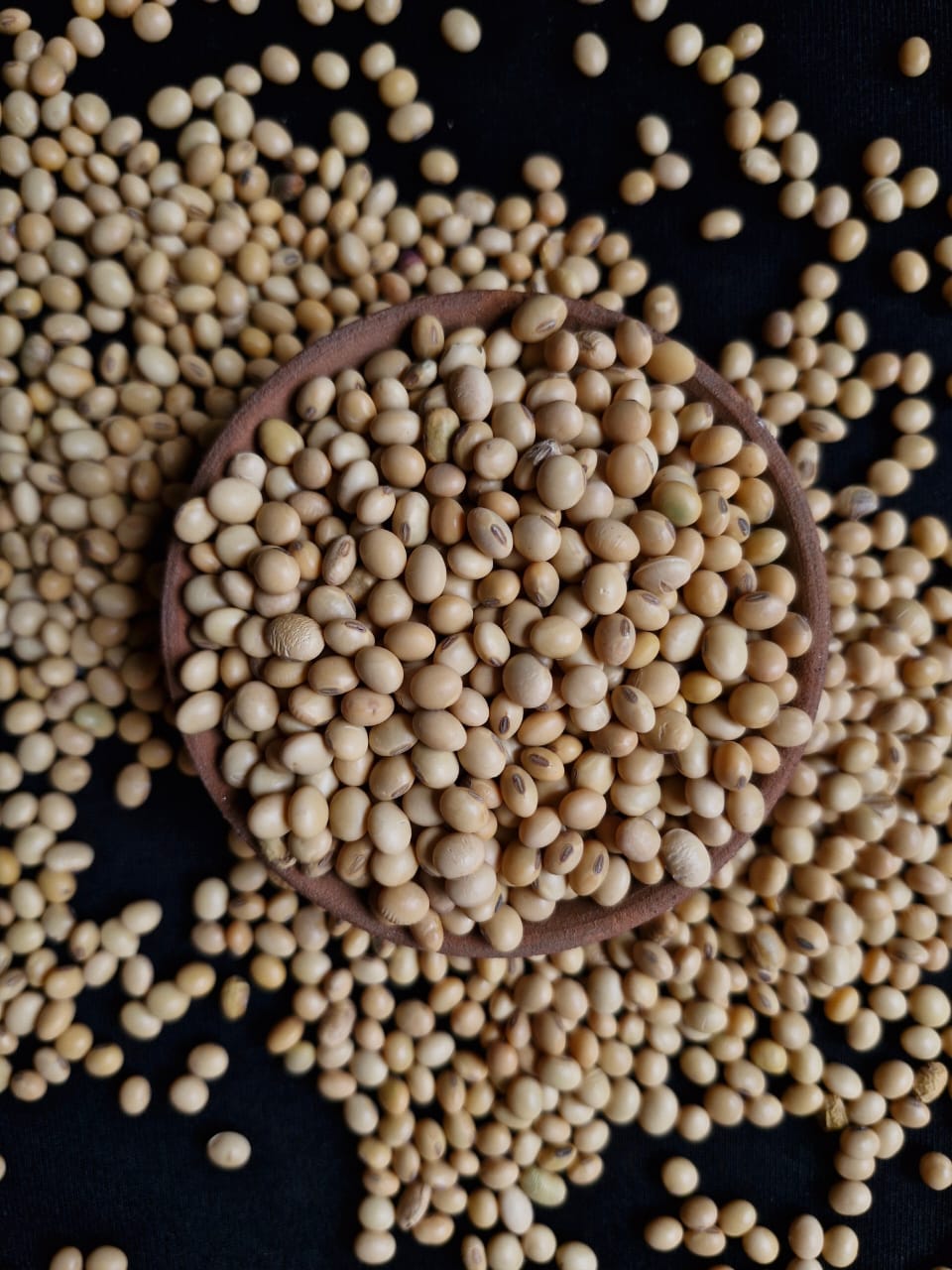 INDIAN SOYABEEN MEAL1